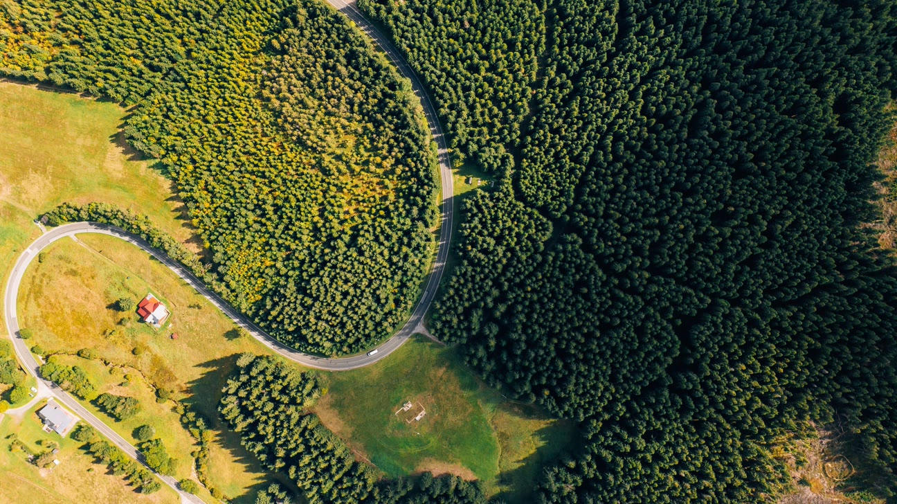 Flyfoto av en vei som svinger gjennom skog og åpne tomter